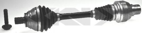 LOBRO 305856