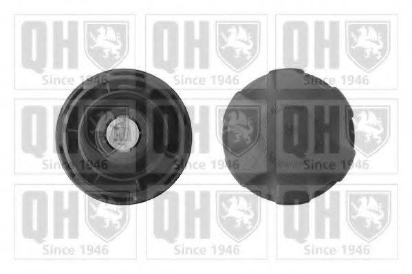 QUINTON HAZELL FC529