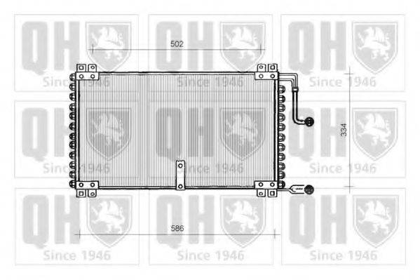 QUINTON HAZELL QCN124