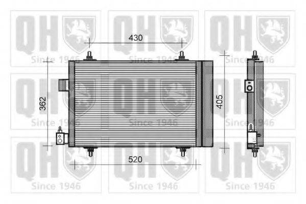 QUINTON HAZELL QCN218