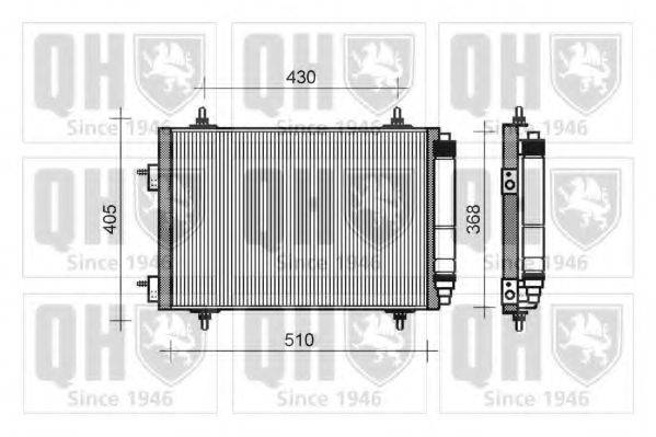 QUINTON HAZELL QCN323