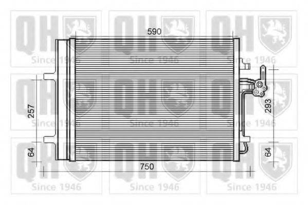 QUINTON HAZELL QCN496