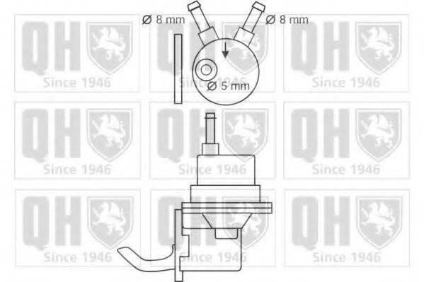 QUINTON HAZELL QFP56