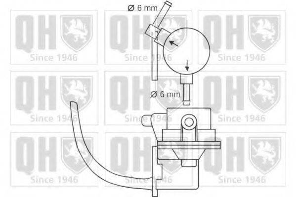 QUINTON HAZELL QFP64