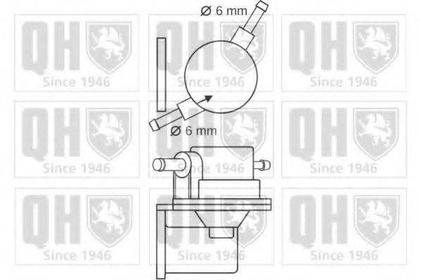 QUINTON HAZELL QFP79