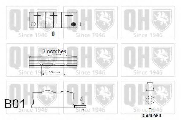 QUINTON HAZELL QBT638C