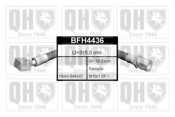 QUINTON HAZELL BFH4436
