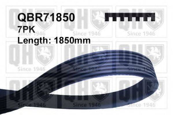 QUINTON HAZELL QBR71850