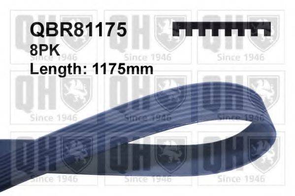 QUINTON HAZELL QBR81175