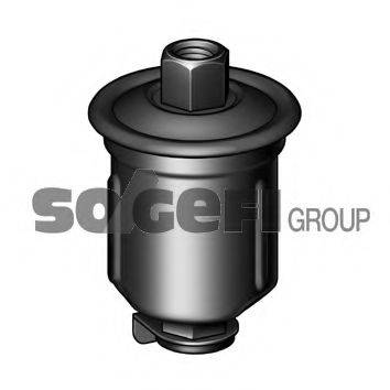 FRAM G5916