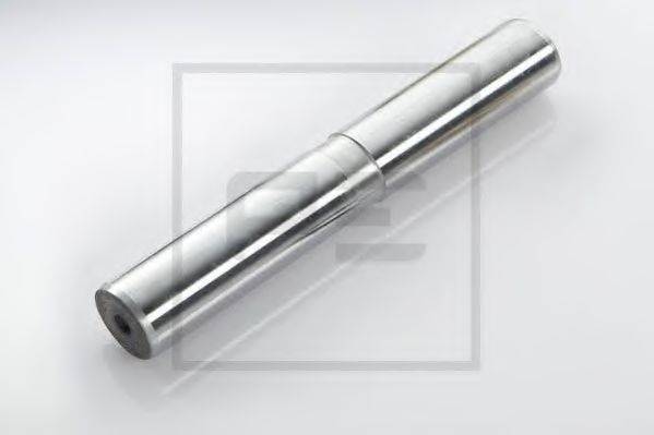 ST-TEMPLIN 060501670000 Болт поворотного кулака