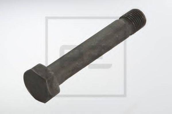 PE AUTOMOTIVE 013.099-00 Болт