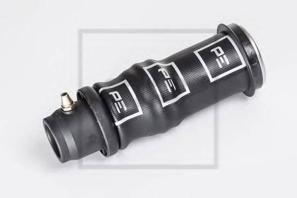 PE AUTOMOTIVE 123.161-00A