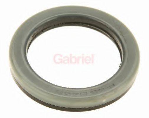 GABRIEL GK500