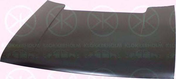 SCHLIECKMANN 703800 Капот двигуна