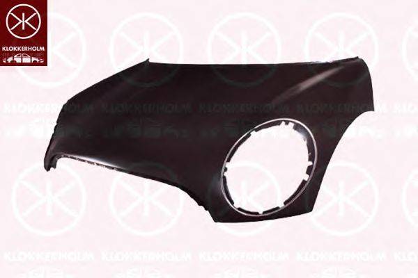 BMW 41 61 2 754 738 Капот двигуна