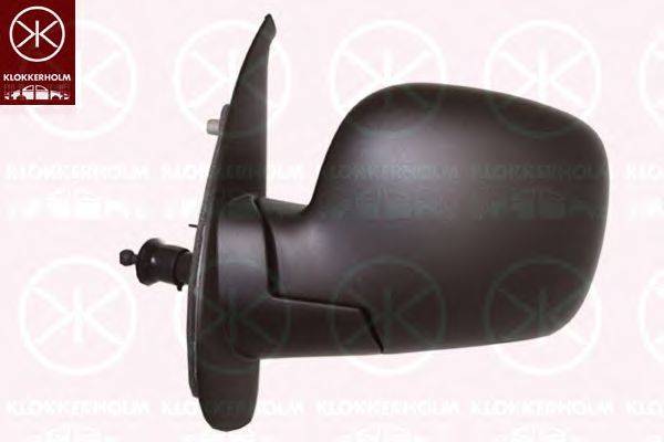 RENAULT 8200702113 Зовнішнє дзеркало