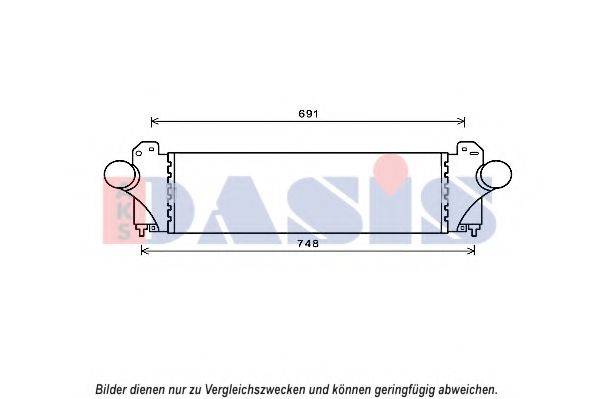 AKS DASIS 407013N