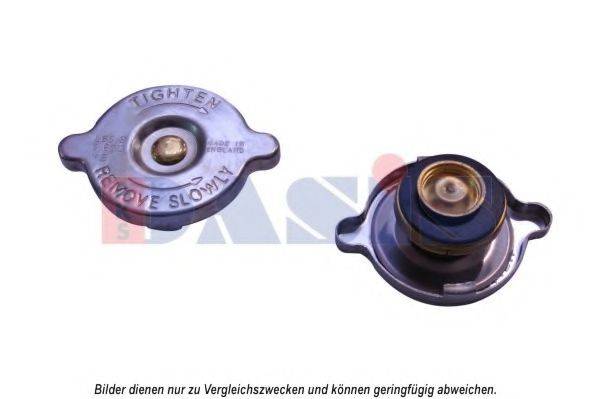 AKS DASIS 751666N