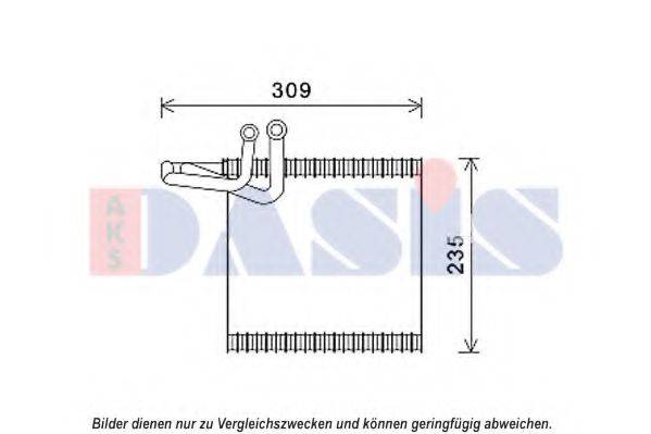 AKS DASIS 820371N