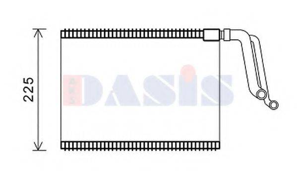 AKS DASIS 820403N