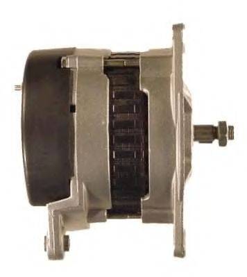 FRIESEN 9066384