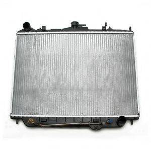 DELPHI RA10020 Радіатор, охолодження двигуна