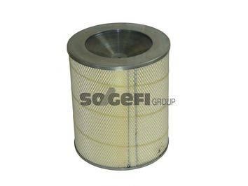 SOGEFIPRO FLI6624