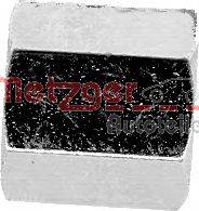 METZGER EV