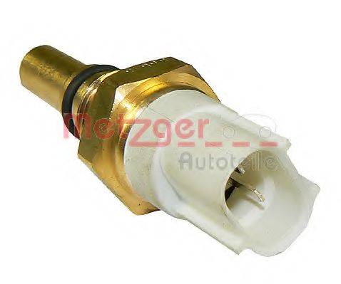 METZGER 0915243