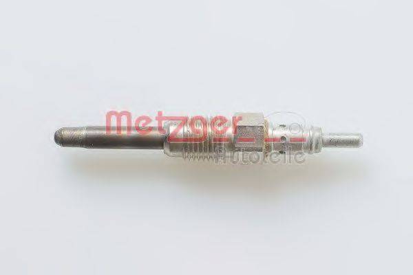 METZGER H1 054